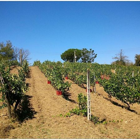 Agriturismo San Giusto Montiano  Zewnętrze zdjęcie