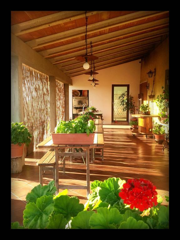 Agriturismo San Giusto Montiano  Zewnętrze zdjęcie