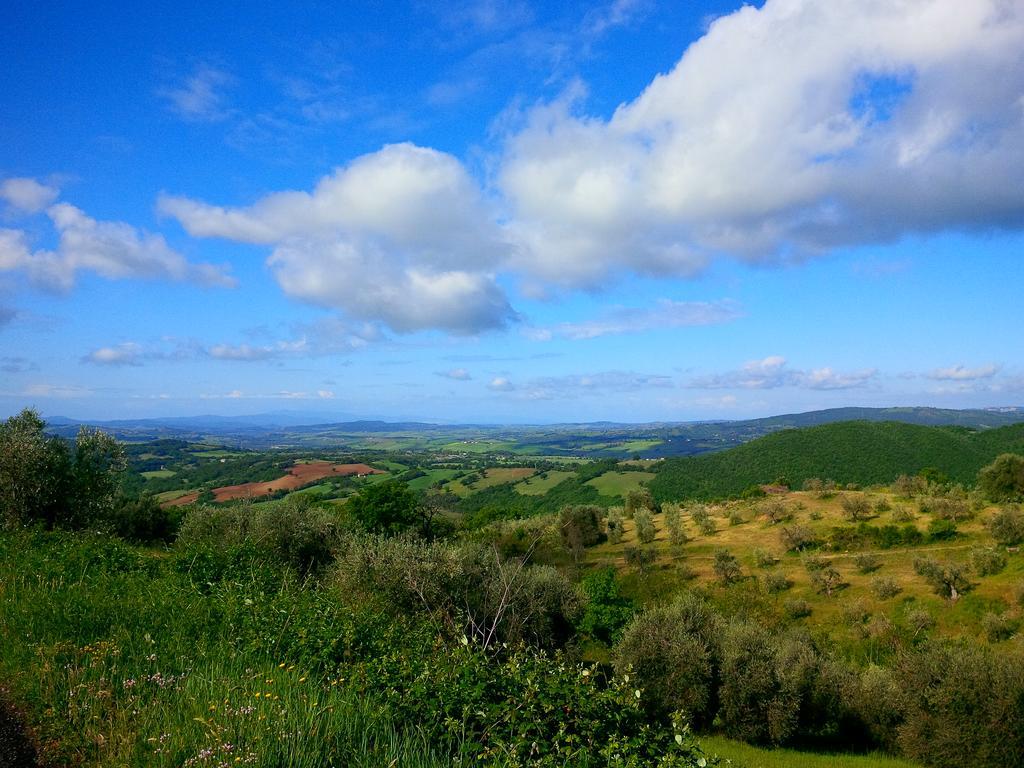 Agriturismo San Giusto Montiano  Zewnętrze zdjęcie