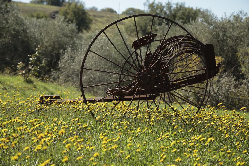 Agriturismo San Giusto Montiano  Zewnętrze zdjęcie